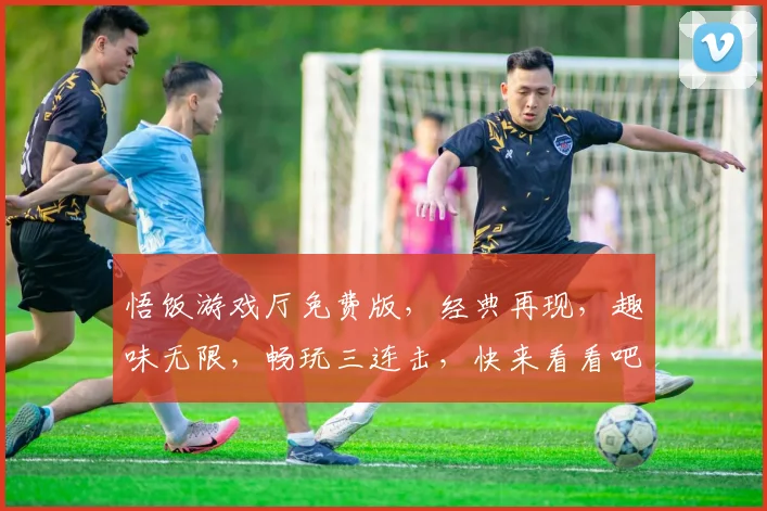 悟饭游戏厅免费版，经典再现，趣味无限，畅玩三连击，快来看看吧