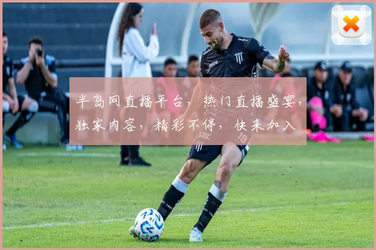 半岛网直播平台，热门直播盛宴，独家内容，精彩不停，快来加入