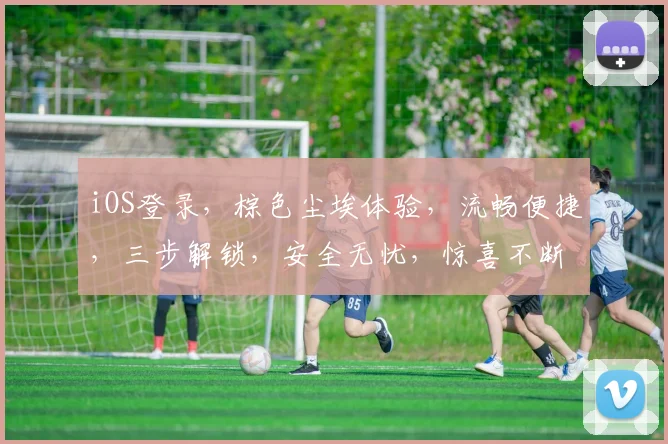 iOS登录，棕色尘埃体验，流畅便捷，三步解锁，安全无忧，惊喜不断