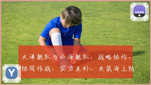 大洋舰队与公海舰队，战略协作，协同作战，实力互补，共筑海上防线